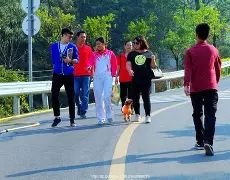 PG电子官网入口-步行者遭遇零封，需调整状态应对未来挑战