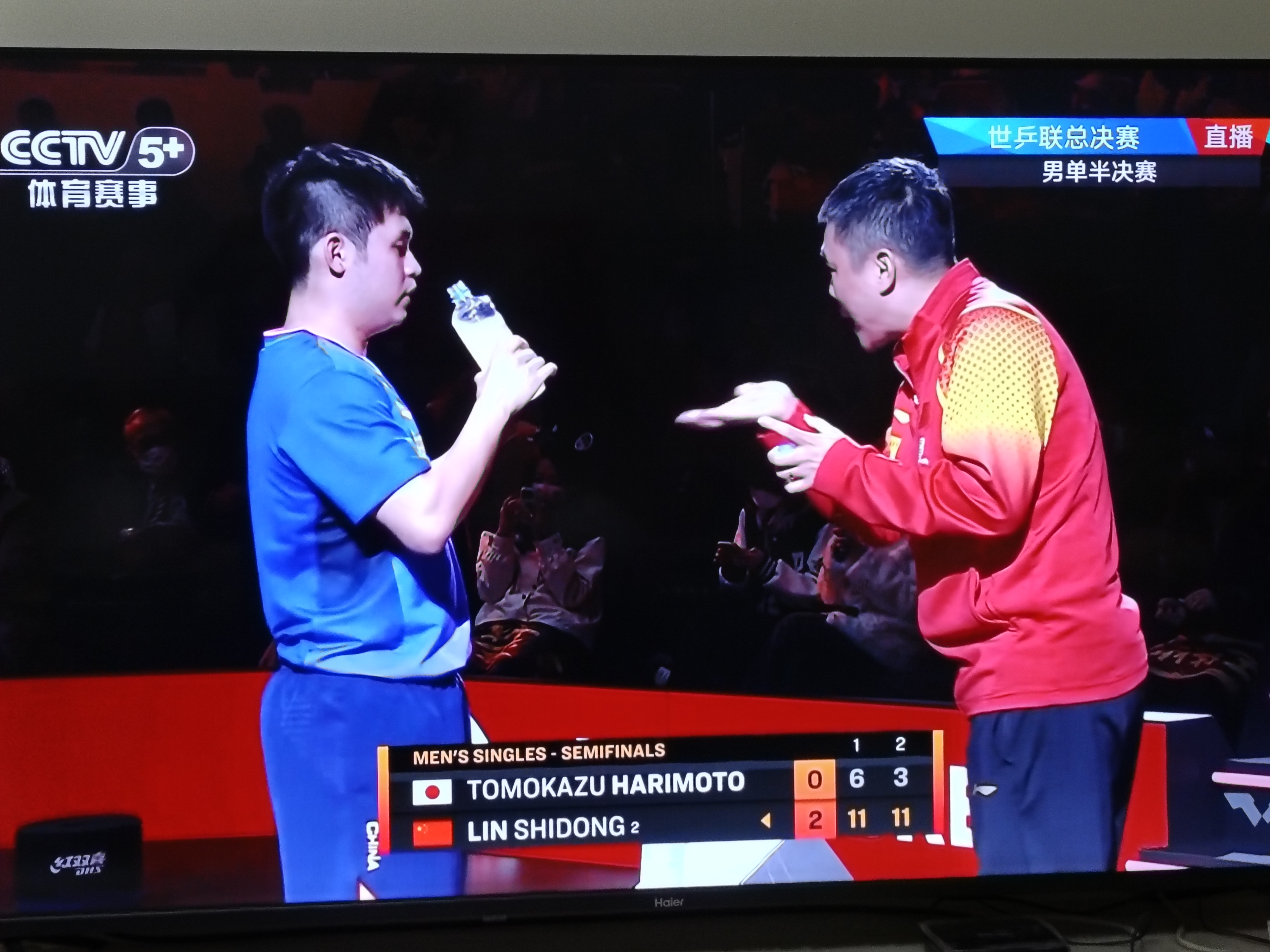 关于波兰队完胜中国队，张本智和关键制胜的信息