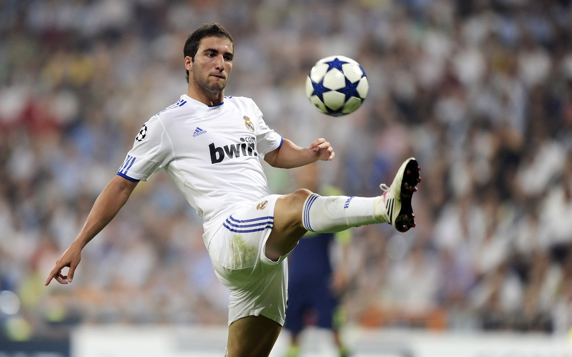 PG平台-巨人倒下，新王加冕，莱奥一锤定音，智利掀翻斗牛士王朝